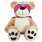 REMEMBEARS PINK COURAGEOUS BEAR