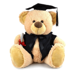 MY BUDDY BEAR GRADUATION - LARGE